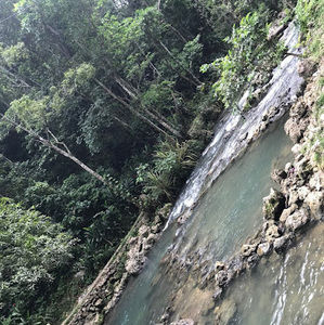 Meet your Posher, Doilsie